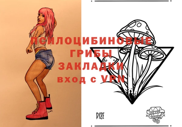 мдпв Алзамай