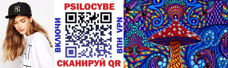 наркошоп  Чёрмоз  Галлюциногенные грибы Psilocybine cubensis 
